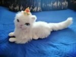 Коте-Играчка